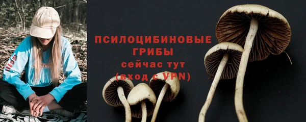 apvp Армянск