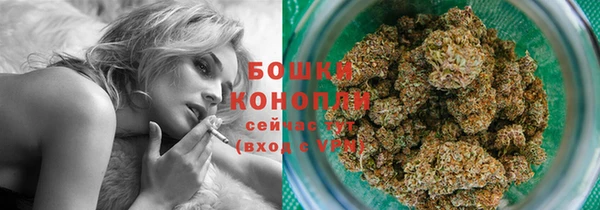 ПСИЛОЦИБИНОВЫЕ ГРИБЫ Аркадак