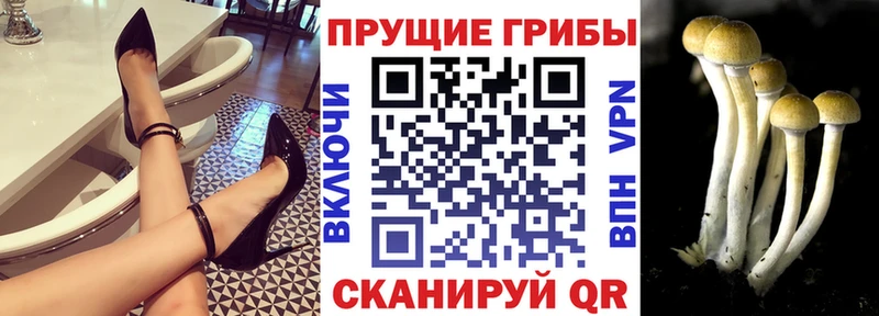blacksprut ССЫЛКА  Углич  Галлюциногенные грибы ЛСД 